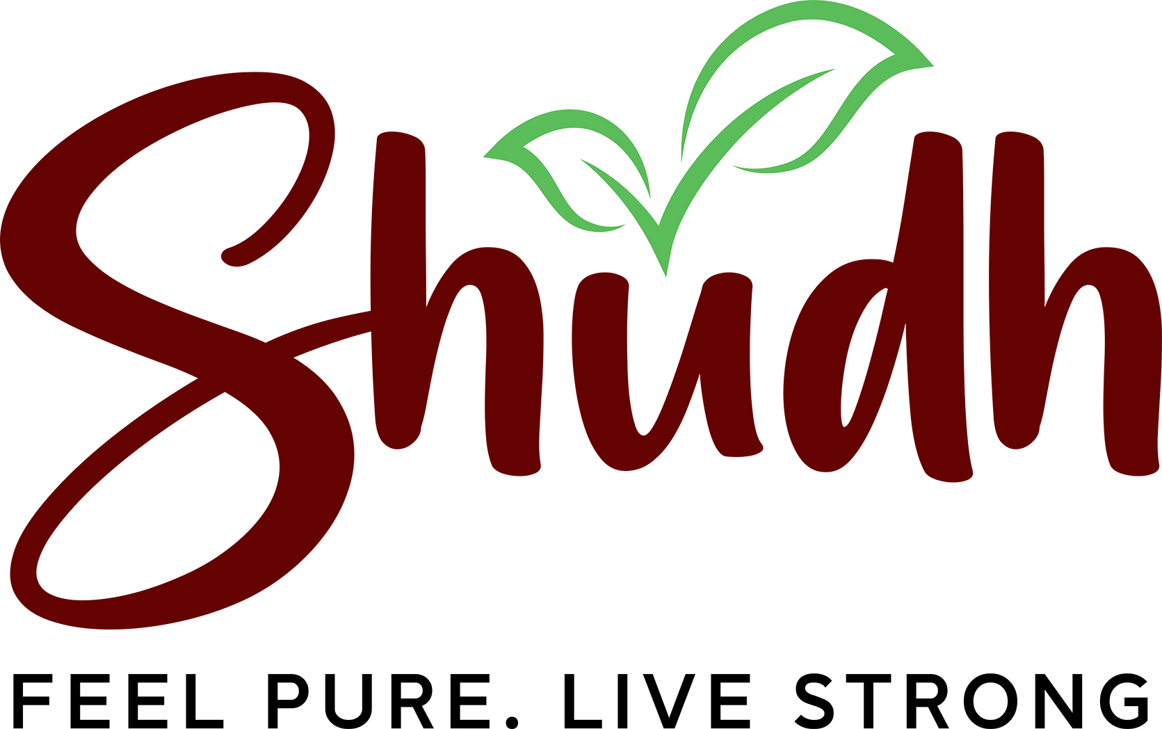 shudh.store