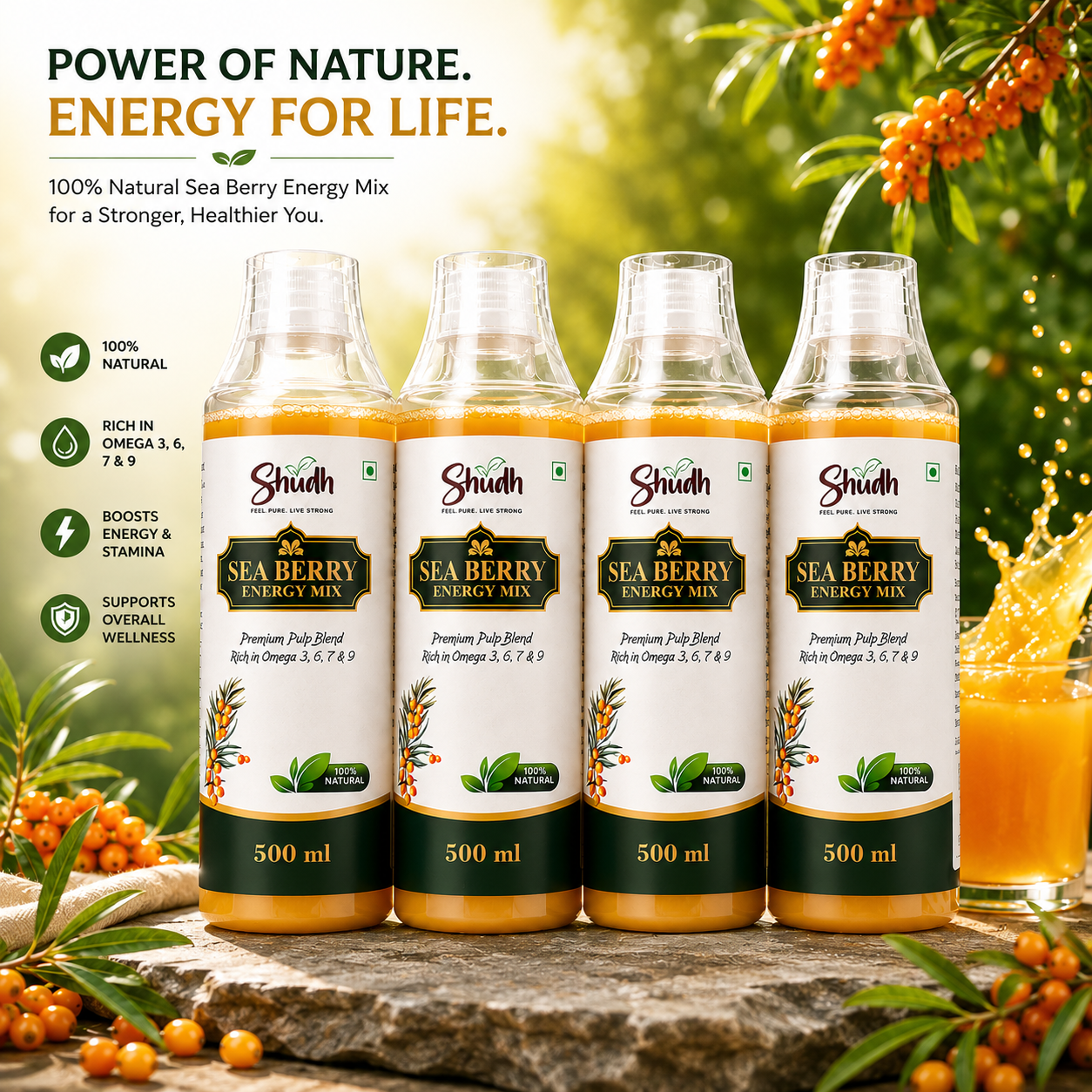 sea berry family pack