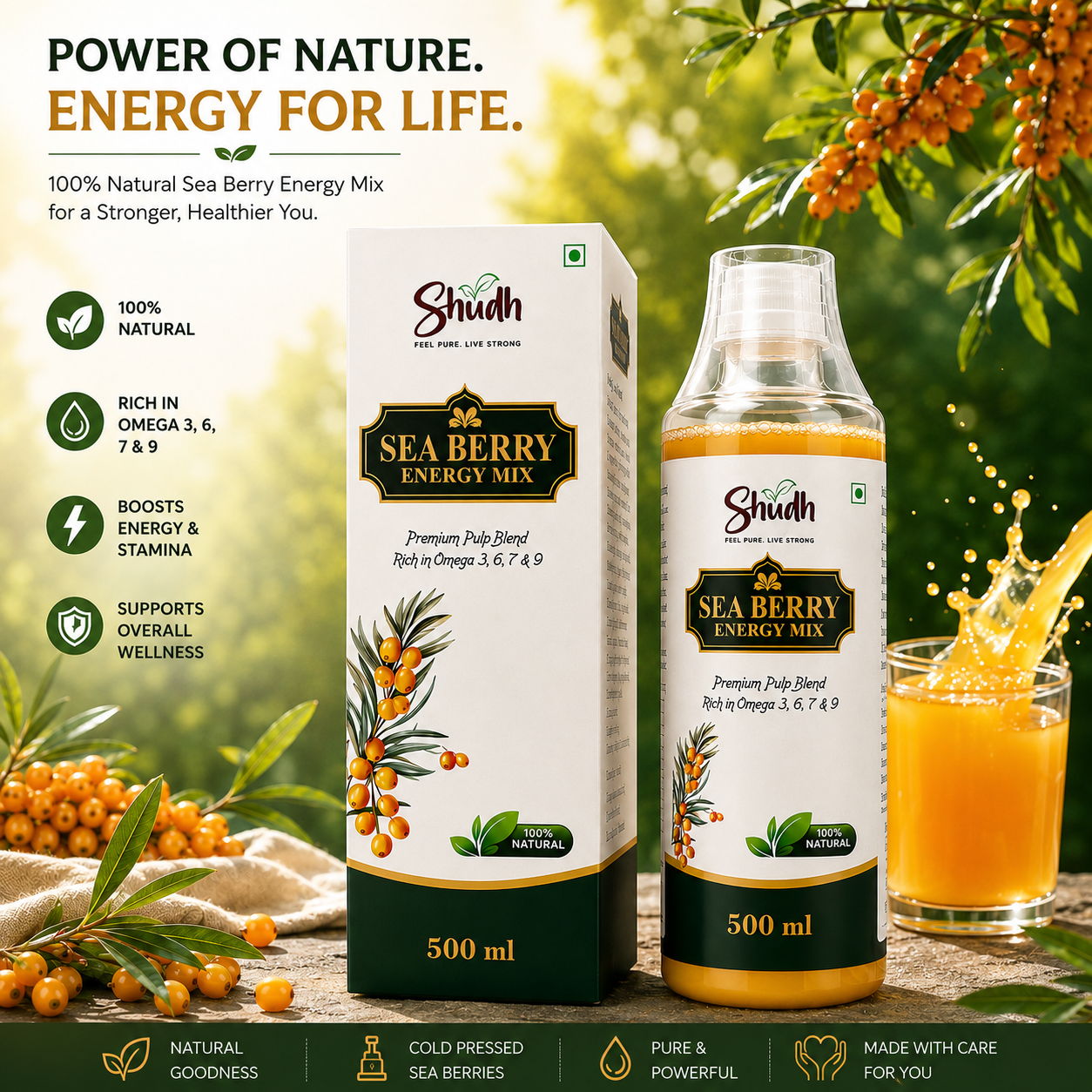 Sea Berry Energy Mix Combo Pack | Boost Energy, Stamina & Wellness