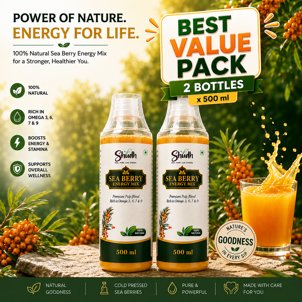 Shudh Sea Berry Energy Mix 500ml (Pack Of 2) | Rich in Omega 3, 6, 7 & 9